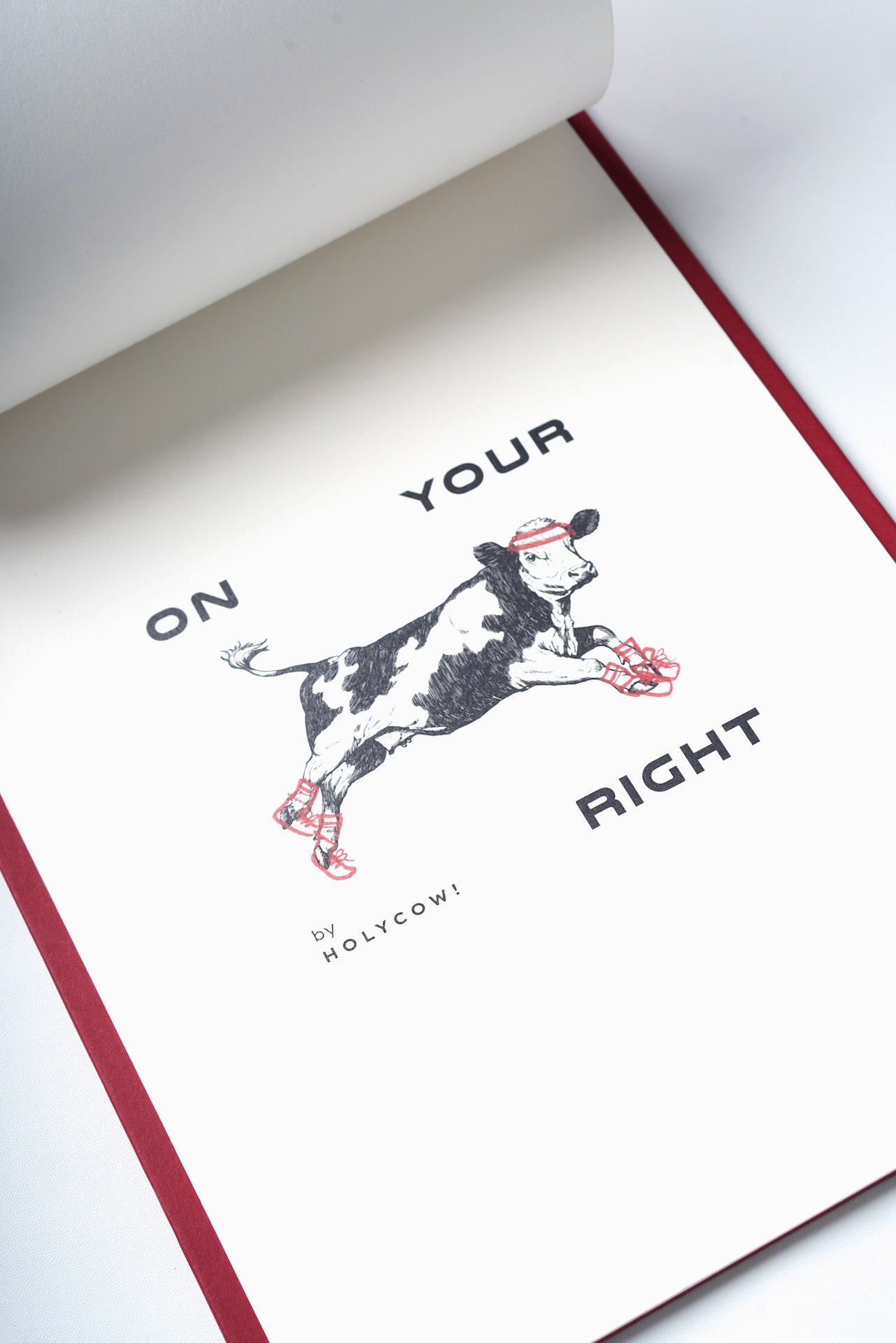 Suri Studio - Portfolio - Marketing Kit - OR by Hollycow! 01